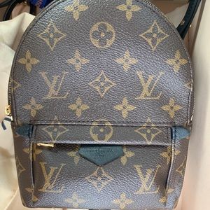 Louis Vuitton Palm Spring Mini Backpack